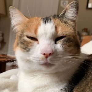 Meet your Posher, Mitchell